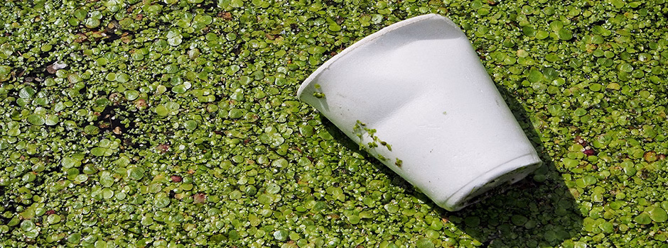styrofoam recycling, styrofoam reuse, styrofoam repurposing, community styrofoam recycling, sustainable styrofoam waste management, eco-living, sustainable lifestyles, green living, highest good living, One Community global, sustainable planet, sustainable world, community styrofoam waste management, how to deal with extra styrofoam, keeping styrofoam out of landfills, Highest Good housing, reusing styrofoam, how to recycle styrofoam, green styrofoam solutions, solutions for styrofoam waste, good uses for styrofoam waste, turning styrofoam waste into products, sustainable styrofoam, polystyrene recycling, polystyrene reuse, polystyrene repurposing, community polystyrene recycling, sustainable polystyrene waste management, community polystyrene waste management, how to deal with extra polystyrene, keeping polystyrene out of landfills, reusing polystyrene, how to recycle polystyrene, green polystyrene solutions, solutions for polystyrene waste, good uses for polystyrene waste, turning polystyrene waste into products, sustainable polystyrene