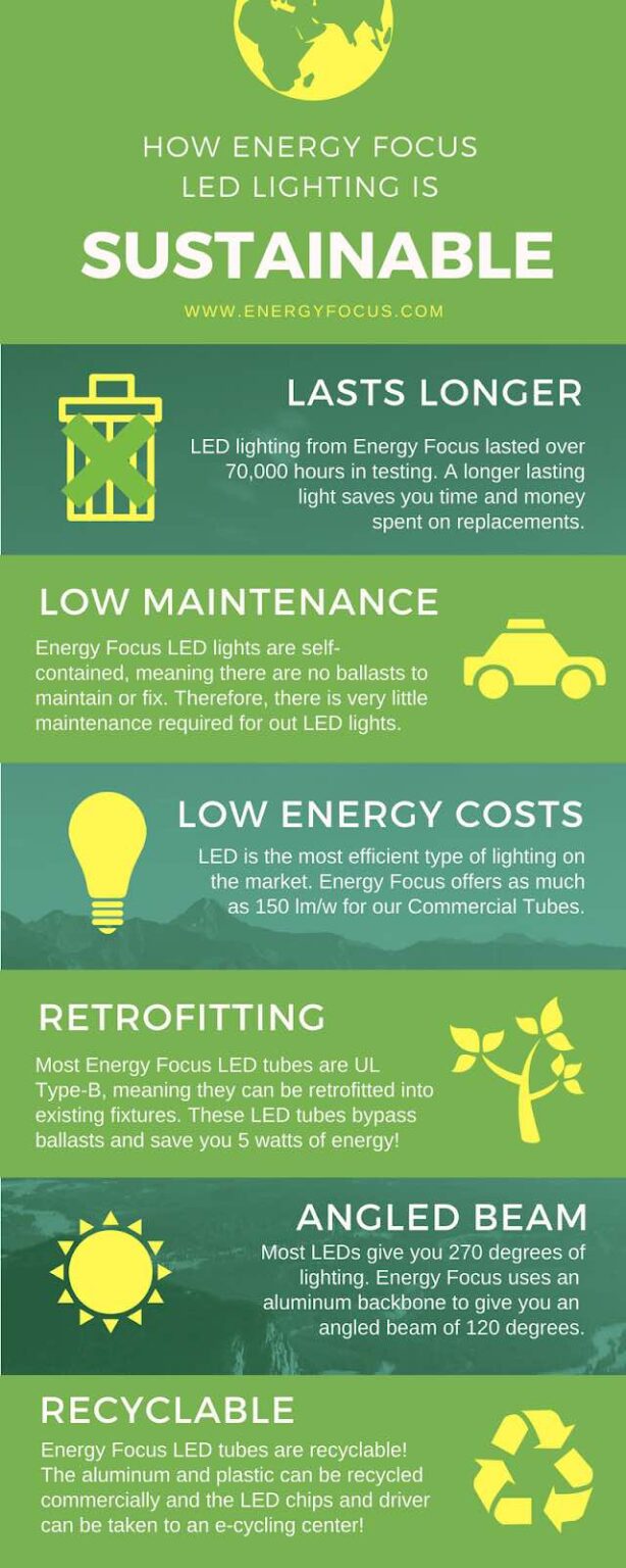 Most Sustainable Lightbulbs & Light Bulb Companies Research & Savings