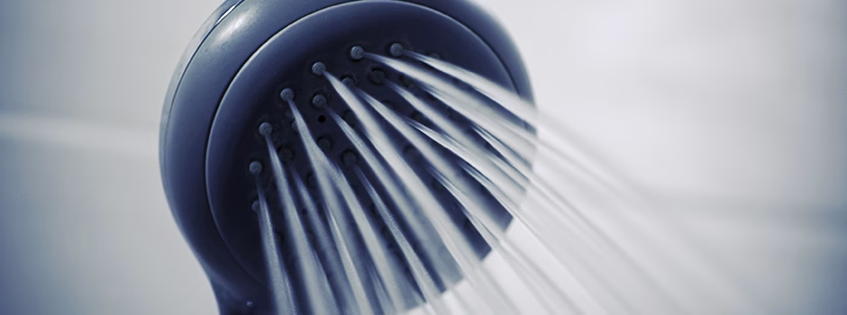 water saving shower heads, water saver showerheads, water conservation, water use reduction, the best shower heads, showers that use less water, using very little water, reducing water use, water conservation, making water last, Highest Good water, One Community, showerhead review, shower head reviews, reviewing shower heads