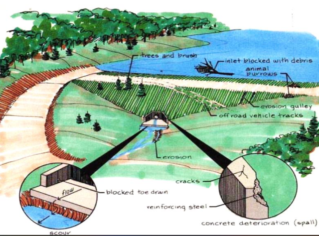 Typical Embankment Dam Features Requiring Visual Inspection, trees and brush, inlet blocked with debris, animal burrows, erosion gully, off road vehicle tracks
