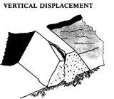 Vertical Displacement