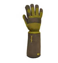 Thorn Resistant Gloves