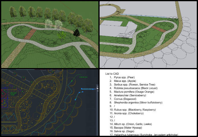 Aquapini and Walipini, Solutioneering a World that Works for Everyone, One Community Weekly Progress Update #606, landscape design, outdoor spaces, tree species selection, CAD annotations, SketchUp modeling, outdoor area organization, line alignment correction, canopy trees, understory trees, Highest Good Food initiative