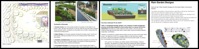 Aquapini and Walipini, Creating Patterns of Positive Change, One Community Weekly Progress Update #608, CAD drawings, bioswale design, water filtration optimization, flow control, bioswale depth and slope, vegetation selection, soil composition, inflow and outflow points, erosion prevention, runoff capture, pollutant reduction.