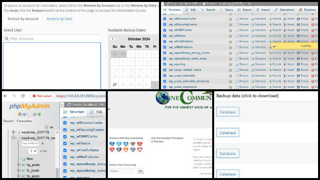 Highest Good Network, Designing Global-Sustainability Systems, One Community Weekly Progress Update #607, restoring corrupted database, website downtime troubleshooting, Bluehost team support, alternative hosting platforms research, customer service for hosting, pros and cons report on hosting, Hostinger configuration report, website specifications details, website hosting configuration options, collaboration on website issues.