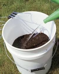 Compost Tea