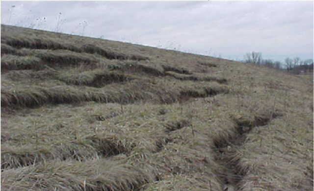 Slides on the Downstream Slope of an Embankment Dam