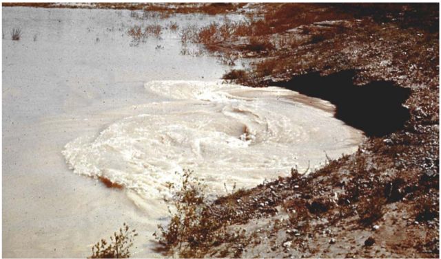 sinkholes are cavernous depressions that range in size and location at embankment dams. If sinkholes are noticed on the embankment or downstream of the dam, the entire area should be inspected and monitored for any signs of seepage or additional sinkholes. A whirlpool is a body of swirling water in the reservoir that may be caused by flow through a channel in or under the dam. 