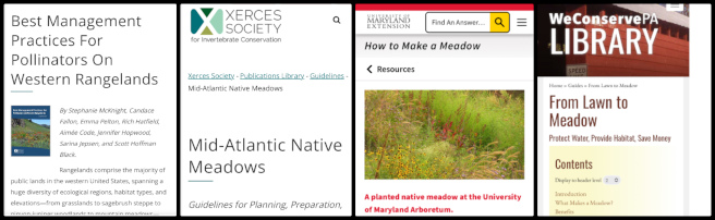 Highest Good Food, Regenerative and Sustainable Change, One Community Weekly Progress Update #625, Developed a general seed mixture for various climates, Created a three-year maintenance schedule for the meadow garden, Detailed stages of establishment for the first three years, Completed her bio for the One Community discussion board, Uploaded her bio for review at the end of the week.