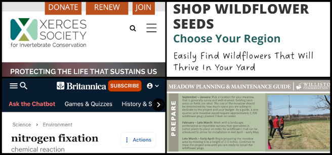 Highest Good Food, Open Sourcing Global Sustainability Strategies, One Community Weekly Progress Update #628, Working, Updating, Aligning, Continuing, Exploring, Researching, Determining, Identifying.