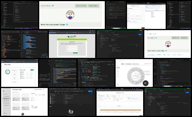 Code Crafters, Highest Good Network Software, Collectively Improving the Standard of Living, One Community Weekly Progress Update #637, horizontal bar chart, role competitiveness, application counts, frontend layout, role-based restrictions, weekly summaries feature, badge functionality, time log tracking, interactive lesson plans, issue breakdown bar graph.