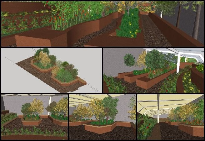 Gayatri , Highest Good Food , Launching a New Paradigm of Sustainable Ideas , One Community Weekly Progress Update #650, Walipini 1 plantation design, sustainable greenhouse planting, eco-friendly floor layout, public seating in greenhouse, vegetation for sustainable design, highest good food initiative, open source sustainable living, community greenhouse planning, participatory sustainable development, resilient food production systems