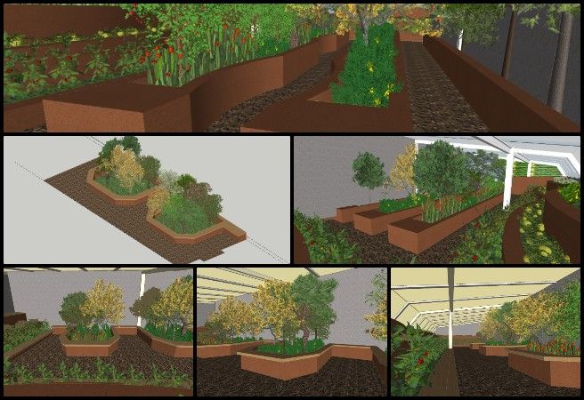 Gayatri , Highest Good Food , Launching a New Paradigm of Sustainable Ideas , One Community Weekly Progress Update #650, Walipini 1 plantation design, sustainable greenhouse planting, eco-friendly floor layout, public seating in greenhouse, vegetation for sustainable design, highest good food initiative, open source sustainable living, community greenhouse planning, participatory sustainable development, resilient food production systems