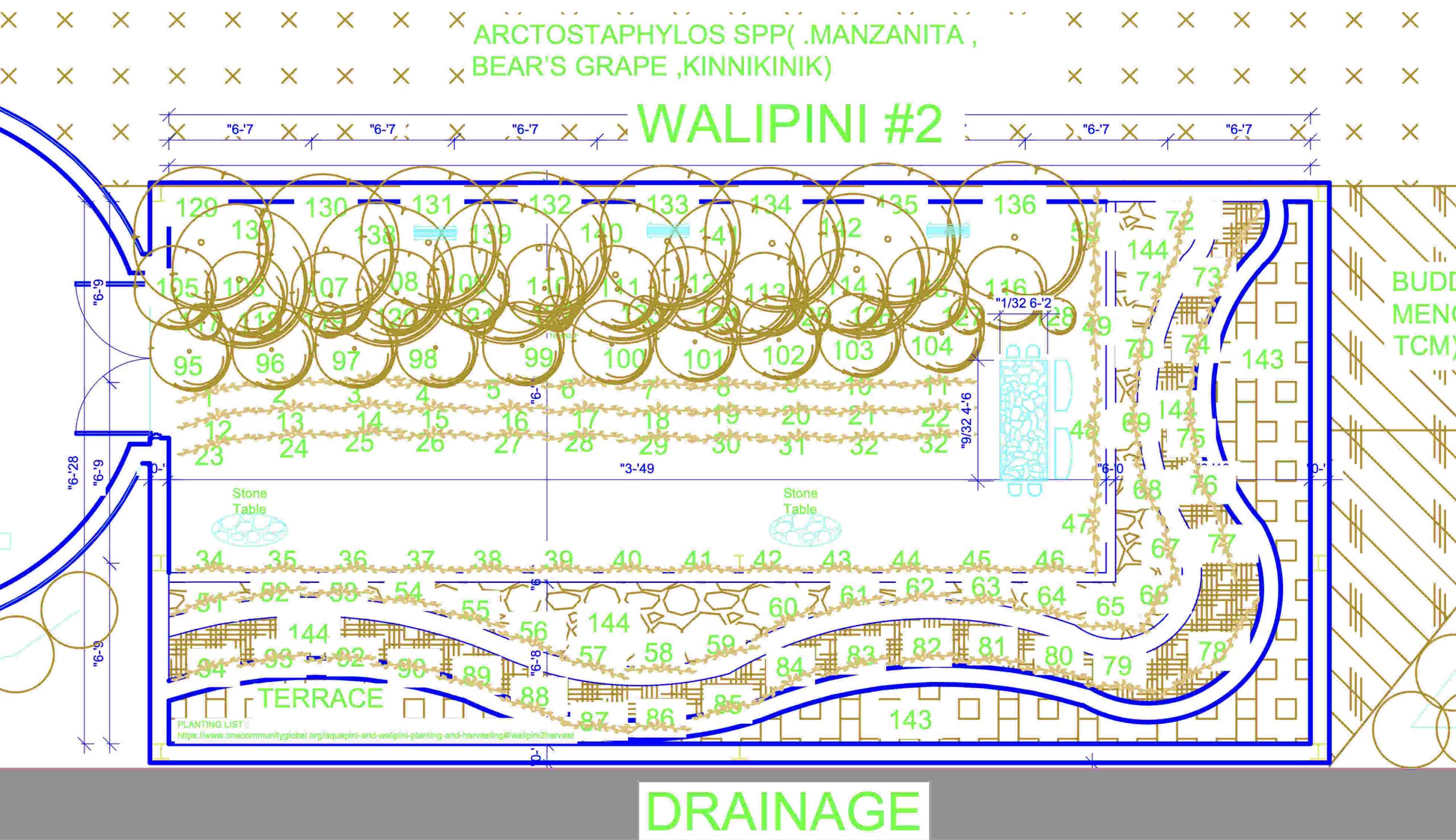 Walipini greenhouse design, subtropical greenhouse farming, temperate off-season food production, controlled winter chill hours, sustainable year-round apple growing, tropical apple bloom defoliation, evergreen subtropical fruit trees, light-optimized orchard design, sustainable food forest integration, frost-resistant subtropical crops