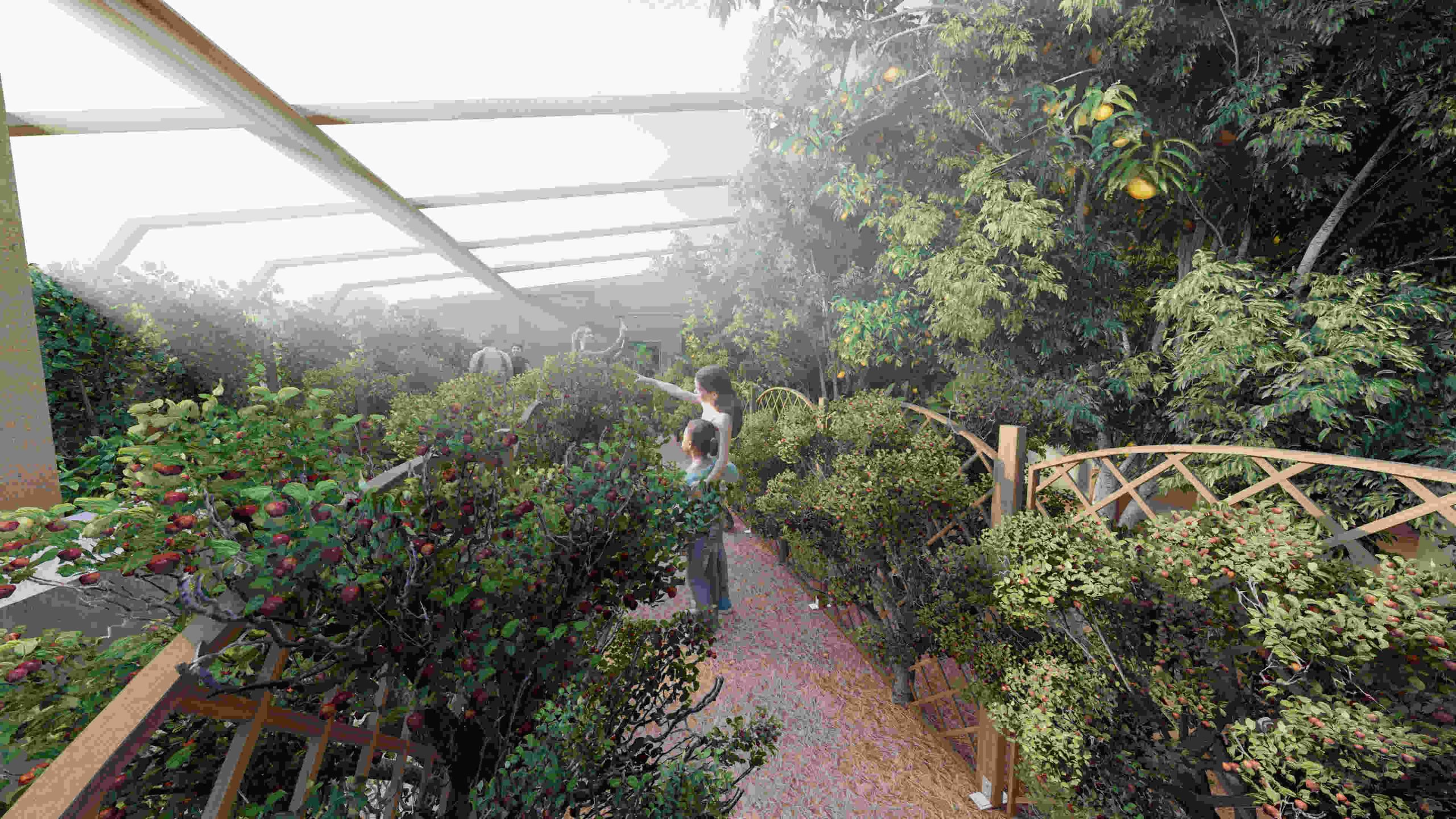 apple orchard, mother and child in orchard, ripe apples on tree, child picking apples, family nature walk, sunlit fruit tree branches, learning about apple blossoms, early morning orchard scene, fresh apples in sunlight, exploring nature with children