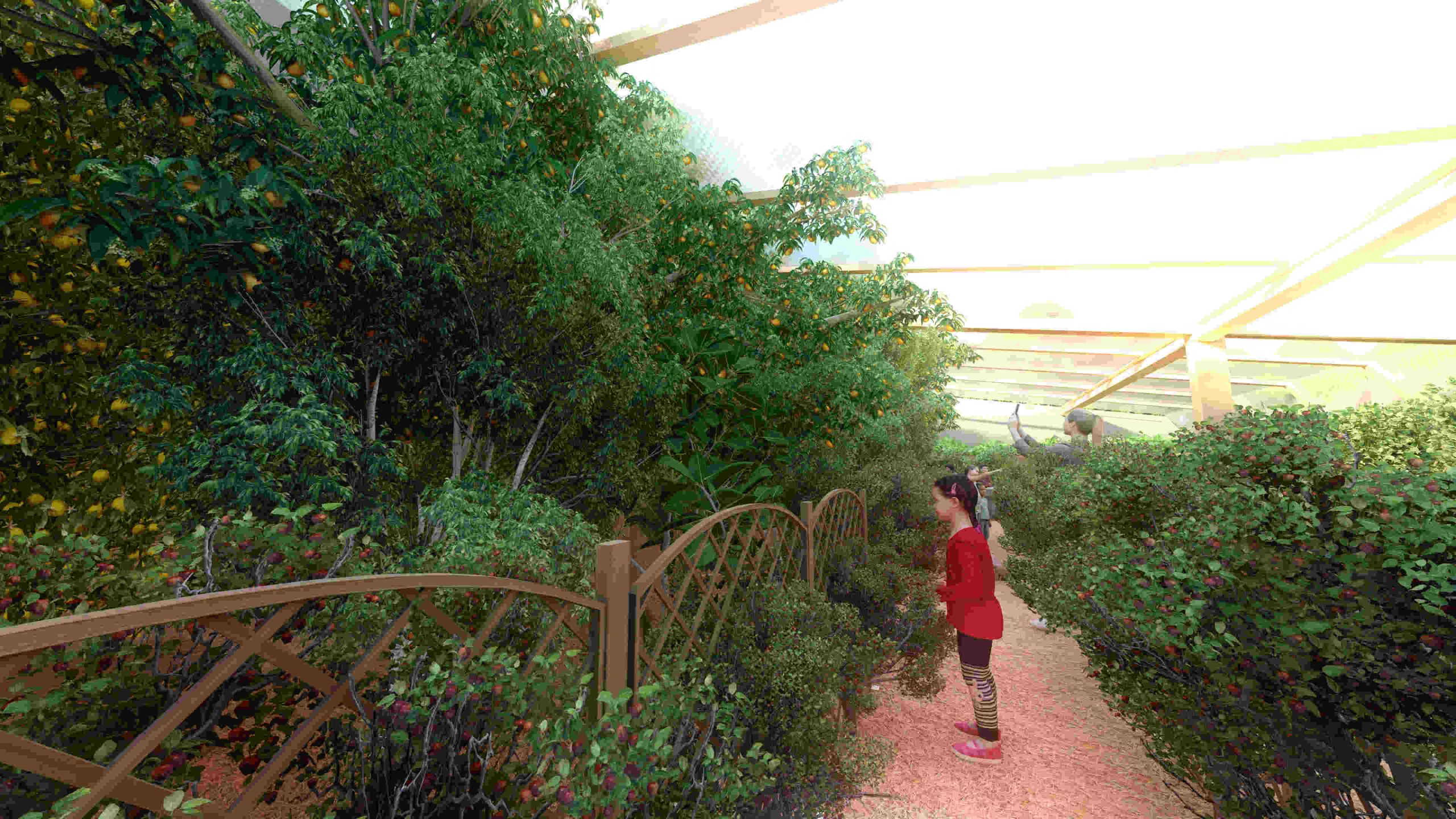 fruit tree shade, dappled sunlight through leaves, man sitting under tree, ripe fruit on branches, peaceful orchard scene, wooden bench in orchard, nature contemplation under tree, lush green foliage and ripe fruit, tranquil orchard atmosphere, capturing serene orchard moment