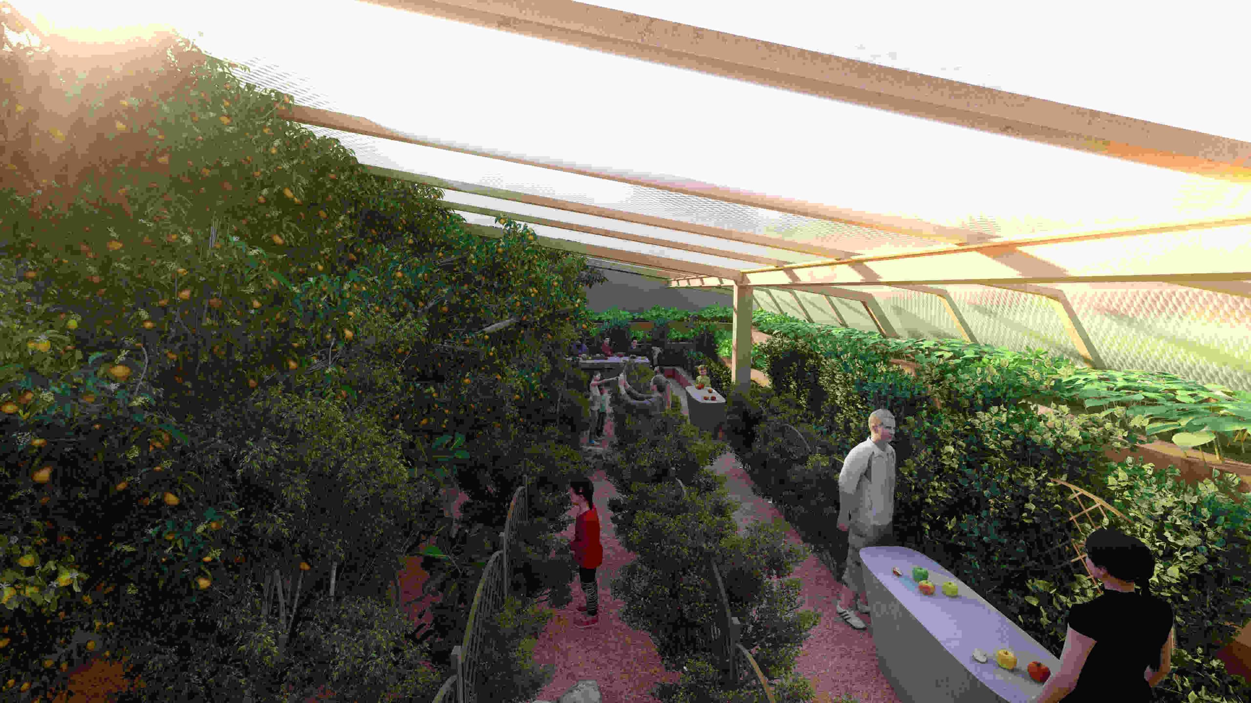 large stones in orchard, natural seating in landscape, children resting on stones, playful orchard setting, unique perspectives in nature, swaying tree branches view, sunlight through leaves, exploring orchard beauty, seating in natural environment, immersive landscape experience