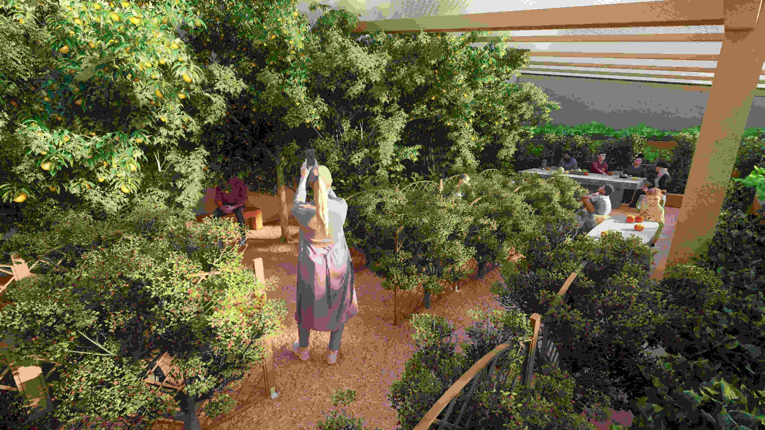 fruit tree shade, dappled sunlight, orchard tranquility, man sitting on wooden bench, ripe fruit hanging on branches, peaceful nature scene, lush green foliage, serene orchard setting, contemplative moment in nature, capturing timeless 