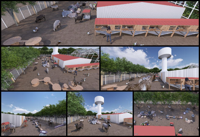 Lumion rendering, SketchUp file updates, animal farm architecture, exterior design visualization, architectural onboarding tasks, rendering corrections, architectural walkaround video, texture import issues, architectural project feedback, architectural designer workflow