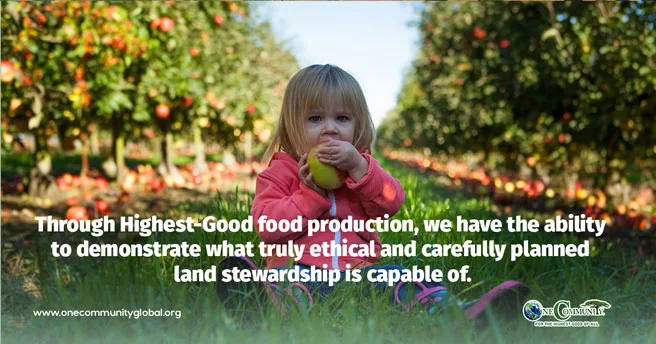 Highest Good food program, school garden benefits, outdoor education for students, hands-on learning in schools, sustainable school food programs, academic achievement through gardening, student social skills development, healthy lifestyle habits for students, environmental awareness in schools, fresh produce school lunch programs, school fundraising with gardens, future culinary and agriculture programs, food forest education, permaculture in schools, sustainable gardening curriculum