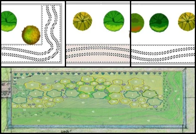 Nitin, Highest Good Food, Improving the Human Living Experience, One Community Weekly Progress Update #663, Walipini 3 planting plan, sustainable greenhouse rendering, regenerative planting layout, eco-friendly landscape design, Aquapini and Walipini renders, sustainable agriculture graphics, Highest Good Food initiative, open source ecological design, One Community sustainable civilization, participatory regenerative development