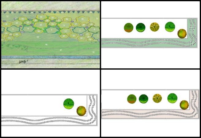 Nitin, Highest Good Food, Open Sourcing Sustainable Civilization Development, One Community Weekly Progress Update #662, Walipini 3 planting plan, sustainable greenhouse rendering, regenerative planting layout, eco-friendly landscape design, Aquapini and Walipini renders, sustainable agriculture graphics, Highest Good Food initiative, open source ecological design, One Community sustainable civilization, participatory regenerative development