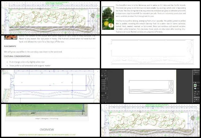 Nitin, Highest Good Food, Pragmatic Eco-utopia Creation, One Community Weekly Progress Update #661, Architect, Aquapini and Walipini renders, Walipini planting plan updates, planting legend extraction, PSD legend organization, greenhouse planting layout corrections, tree placement accuracy, landscape design alignment, Walipini 3 plan development, layout and planting scheme review, JPG and PDF extraction for rendering, sustainable greenhouse visualization, Highest Good Food initiative, One Community open-source design, regenerative development, sustainable future planning.