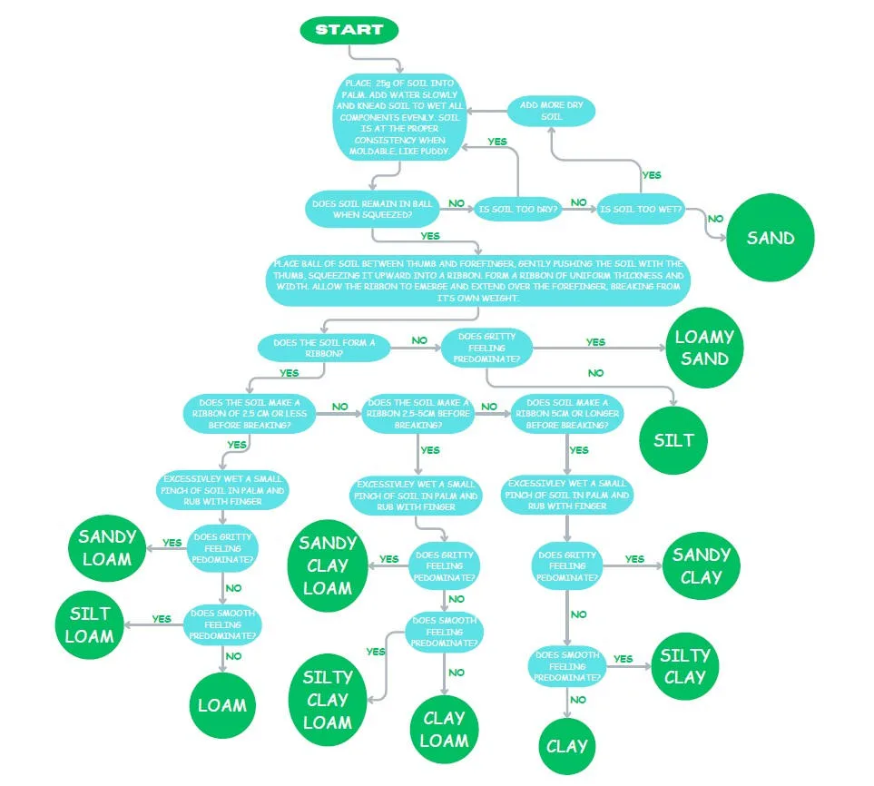soil testing, garden soil test, DIY soil test, professional soil analysis, soil nutrient testing, soil toxin testing, soil sample collection, soil health test, home soil testing methods, agricultural soil testing, extension office soil test, soil quality assessment, soil fertility test, garden soil evaluation, soil composition analysis