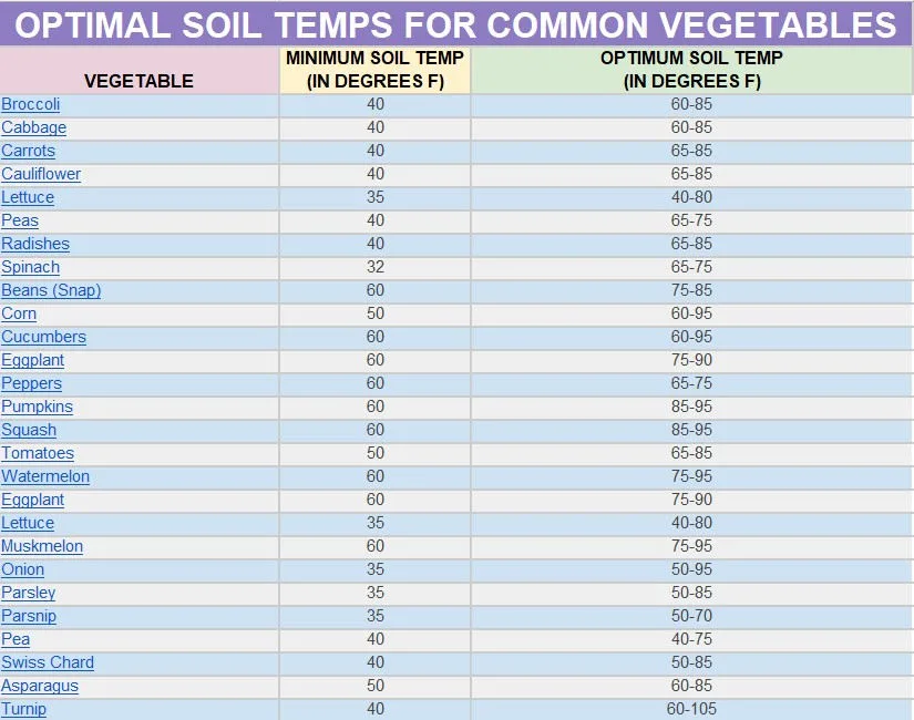 germination temperature, seed germination temps, optimal seed temperature, minimum germination temperature, seed sprouting temperature, warm-weather seed germination, cool-weather seed germination, tomato germination temperature, pepper seed temperature, greens germination temperature, consistent germination temps, seed viability temperature, seed starting temperature, garden seed sprouting conditions, temperature requirements for seeds