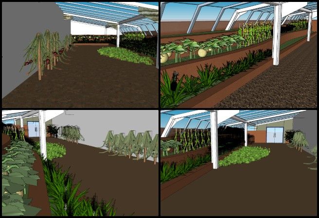 Gayatri, Highest Good Food, Adaptable Eco-models for Social Evolution, One Community Weekly Progress Update #664, Walipini 3 design, sustainable greenhouse architecture, SketchUp planting layout, indoor agriculture planning, controlled-environment agriculture, greenhouse people-space design, regenerative food systems, Highest Good Food initiative, eco-model social evolution, open source sustainable design