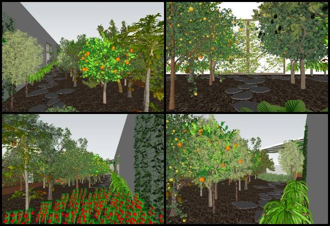 Japneet, Highest Good Food, A Prototype Solution Engine for Global Challenges, One Community Weekly Progress Update #669, Walipini greenhouse design, tropical house 3D modeling, SketchUp architectural updates, Lumion rendering workflow, sustainable food infrastructure design, participatory architecture projects, open source eco design, greenhouse circulation planning, plant placement and landscape modeling, prototype solution engine for sustainability