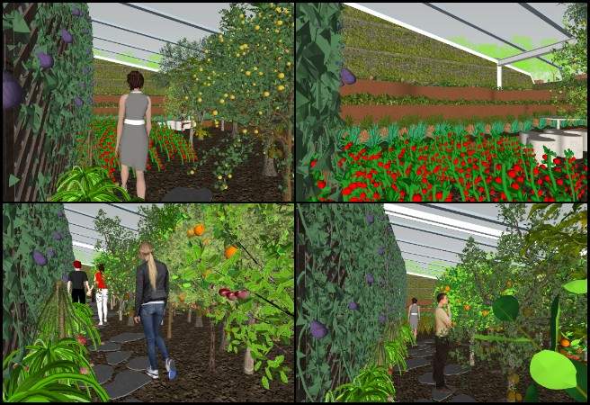 Japneet, Highest Good Food, DIY Sustainable Construction , One Community Weekly Progress Update #670, Walipini 3 tropical house design, sustainable greenhouse architecture, SketchUp architectural modeling, tropical climate building design, regenerative food systems design, open source sustainable architecture, participatory design projects, eco-friendly greenhouse rendering, Highest Good Food initiative, tropical greenhouse visualization 