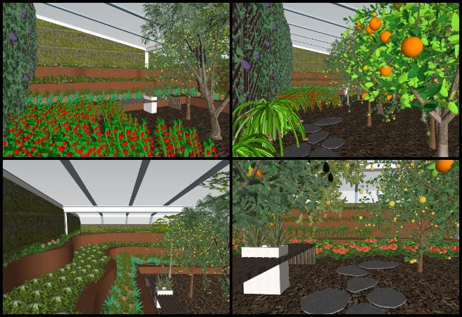 Japneet, Highest Good Food, Open Sourcing the Golden Age, One Community Weekly Progress Update #670, Walipini 3 tropical house design, sustainable greenhouse architecture, SketchUp architectural modeling, tropical climate building design, regenerative food systems design, open source sustainable architecture, participatory design projects, eco-friendly greenhouse rendering, Highest Good Food initiative, tropical greenhouse visualization