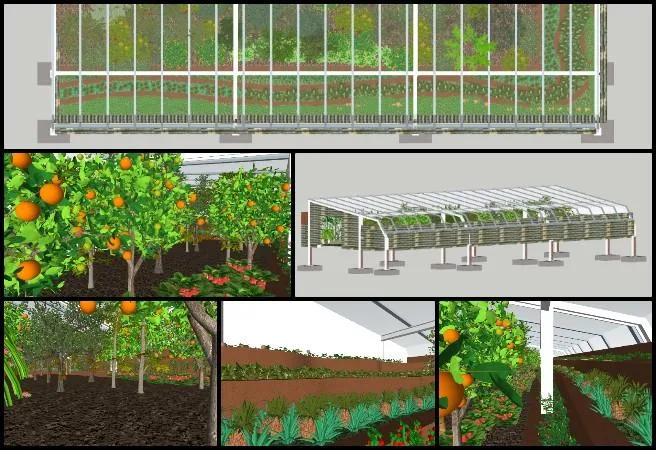 Japneet, Highest Good Food, World-Changing Ideas, One Community Weekly Progress Update #668, Walipini 3 tropical house 3D model, tropical greenhouse plant modeling, sustainable tropical agriculture design, indoor tropical planting layout, eco-friendly greenhouse vegetation, regenerative food system architecture, Highest Good Food initiative, One Community open source platform, participatory sustainable development, world-changing sustainable design