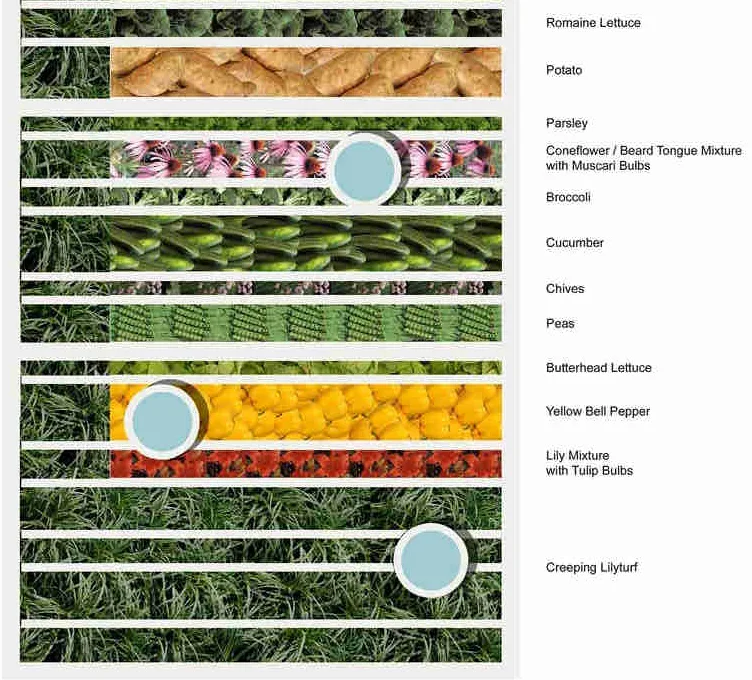 rooftop garden design, winter-hardy perennials, low-maintenance urban planting, colorful perennial landscapes, kid-friendly garden design, educational youth gardening spaces, rooftop membrane protection systems, sprinkler irrigation for rooftop gardens, durable urban agriculture design, sustainable rooftop landscaping 