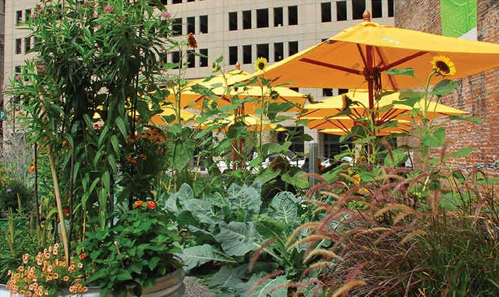 outdoor food garden challenges, chemical-free pest control in gardens, wildlife-friendly edible landscapes, seasonal planting and harvest cycles, urban foodscape design precedents, ASLA award-winning foodscape projects, Magical Foodscape student award, Lafayette Greens urban agriculture, pollinator-friendly urban gardens, sustainable outdoor edible landscapes