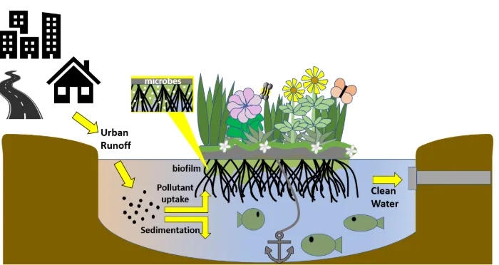 retention ponds for stormwater management, constructed wetlands design, flood prevention water systems, natural water filtration ponds, pollutant-removing retention ponds, wildlife habitat wetlands, scenic water features, eco-friendly water management, environmental education ponds, birdwatching in wetlands