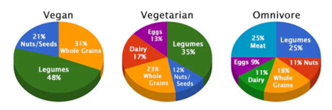 Comprehensive Framework for Feeding a Group of 50 Active Adults with Mixed Dietary Needs Sustainable meal planning, community nutrition guidelines, balanced diet planning, nutrition calculations for communities, healthy food procurement, plant-based meal planning, omnivore vegetarian vegan nutrition, macronutrient meal planning, large group food planning, sustainable community nutrition