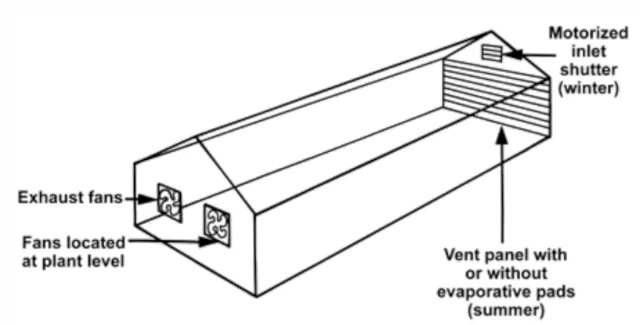 The below image represents exhaust fans located in the end wall, which pull air through the greenhouse structure. Air enters through motorized inlet shutters during winter or vent panels with or without evaporative pads during summer, and is drawn out by exhaust fans mounted at plant level. This method is best suited for houses up to 125 feet in length (though it can work up to 250 feet). It provides moderate energy efficiency, but performance declines in very long houses due to uneven air mixing. It is most common in large commercial operations and works well when combined with cooling pads, though installation can be relatively complex.
