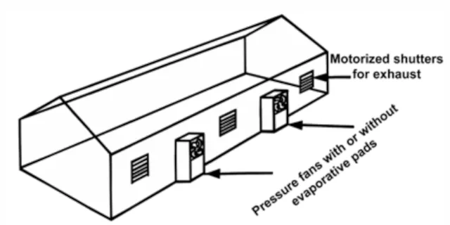 greenhouse side wall fans, side ventilation greenhouse, greenhouse airflow side to side, pressure fan side wall system, greenhouse air distribution diagram, side wall ventilation layout, greenhouse retrofit ventilation, airflow uniformity greenhouse, side fan installation greenhouse, greenhouse ventilation design