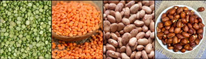 Dried Beans and Legumes