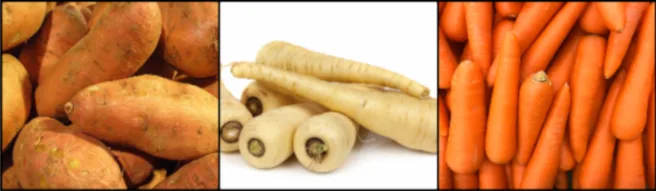 Potatoes, Yams, and Other Inexpensive Root Vegetables Affordable root vegetables, long-storage staple foods, sustainable produce sourcing, ugly produce programs, cost-effective vegetable procurement, seasonal root vegetable planning, sustainable food supply chains, bulk vegetable purchasing, reducing food waste in sourcing, resilient community food systems