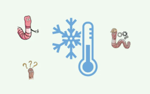 low temperature vermicomposting, winter composting, worm activity, microbial decomposition, worm dormancy, composting delays, moisture retention, cold weather composting, worm protection, vermiculture system 