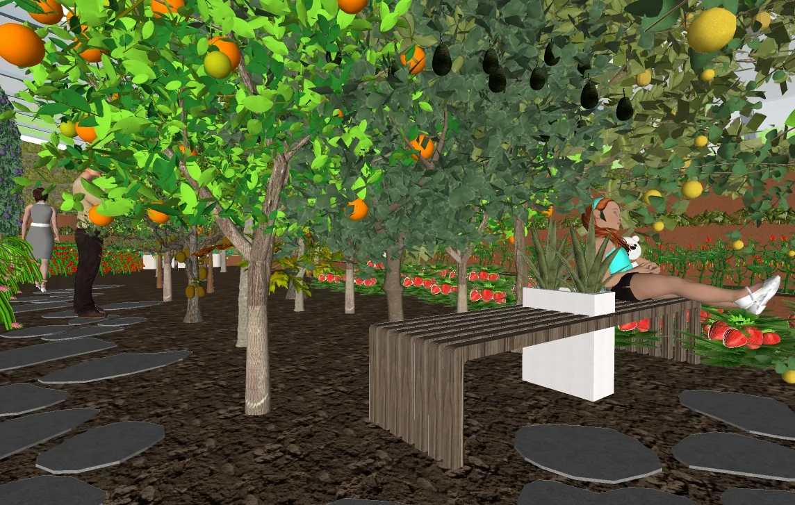 Walipini visitor relaxation space