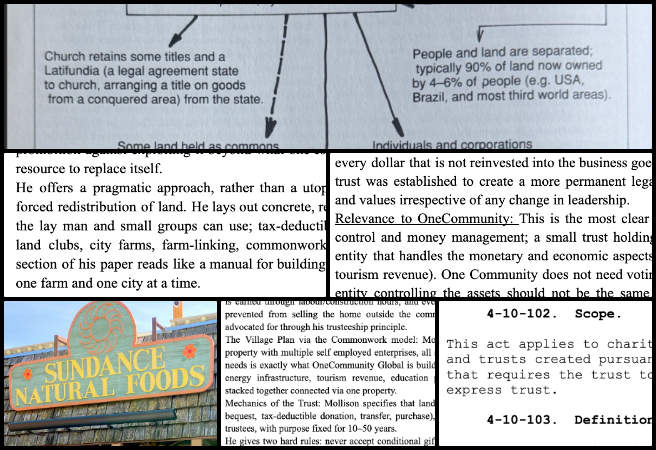 Anagha, Highest Good Society, Developing Global-Sustainability Systems, One Community Weekly Progress Update #699, Perpetual purpose trust, global sustainability systems, legal structure research, community land trust, One Community Global, conservation easements, land trusteeship, nonprofit legal structure, property preservation planning, trust law research
