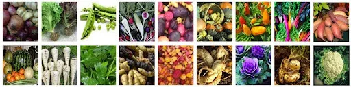 Highest Good Food, Step 4 development, food for 50–100 people, community food self-sufficiency, 70% food self-sufficiency, large-scale gardening, hoop house expansion, permanent kitchen construction, food forest development, apiary development, bee colony management, aquapini construction, walipini construction, sustainable food production, goat farming, chicken farming, rabbit farming, regenerative agriculture, permaculture food systems, community food security, sustainable food infrastructure, agricultural expansion planning, greenhouse food production, community population growth, phased development timeline, One Community project