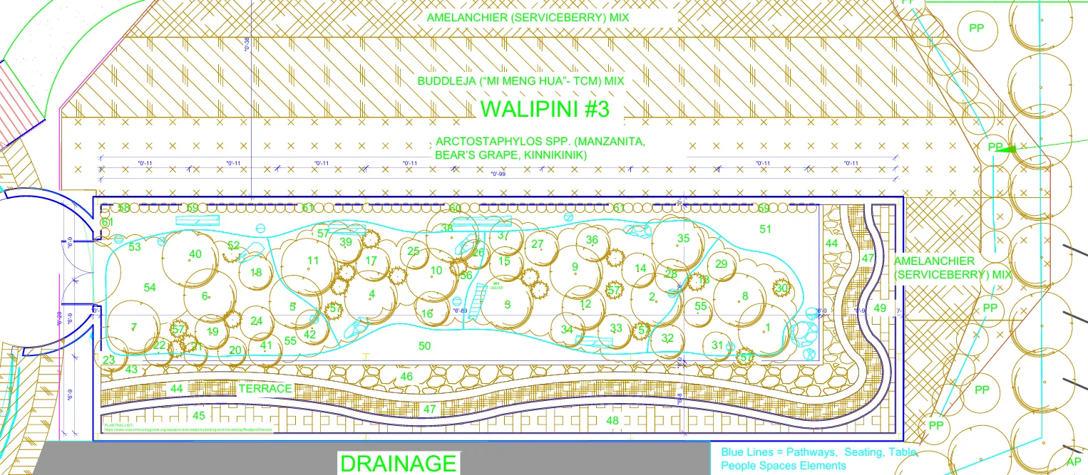 Total Growing Area, 2,987 Square Feet, 277.5 Square Meters, Walipini Growing Area, Aquapini Planting Space, Sustainable Greenhouse Design, Indoor Food Production, Edible Planting Layout, Organic Food Growing, Highest Good Food, One Community Food Infrastructure, Open Source Walipini Plans, Sustainable Agriculture